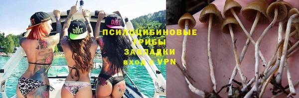 соль ск Абдулино