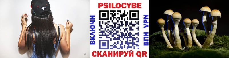 Галлюциногенные грибы Magic Shrooms  продажа наркотиков  omg вход  Егорьевск 