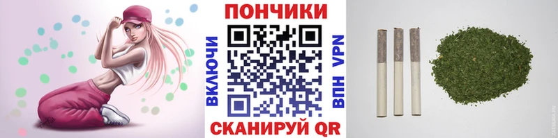 Шишки марихуана марихуана  Егорьевск 